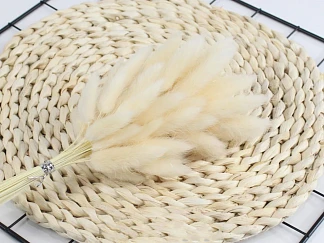 Сухоцвет Лагурус