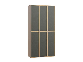 Распашной шкаф Флавир 3-120x250 Рогожка Графитовый