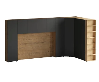 Композиция Modus 55