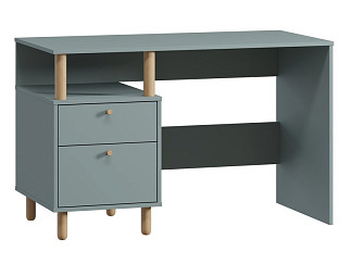 Письменный стол Дикинс 120x60 Серо-зеленый