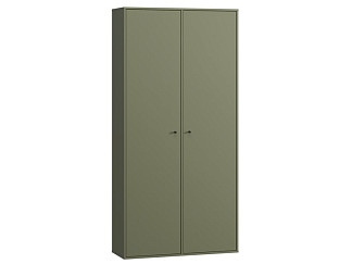 Распашной шкаф Сайрис-2 Olive