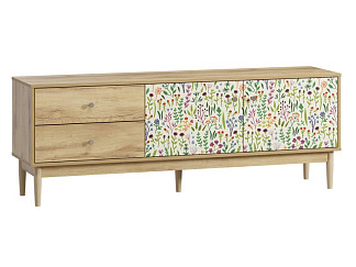 ТВ-тумба Тайрон 165x60 Сальвия