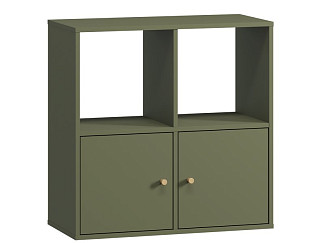 Стеллаж Кейн-10 Olive