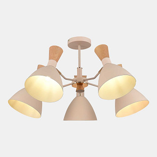 Потолочная люстра Evoluce Vista - SLE1256-502-05