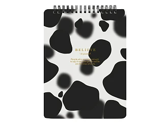 Блокнот Believe
