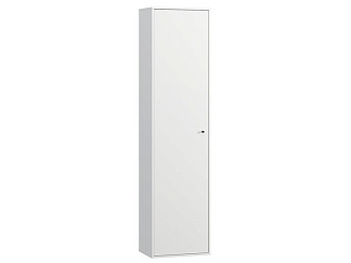 Распашной шкаф Сайрис-1 White