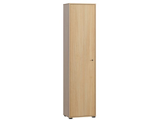Распашной шкаф Сайрис-1 Oak