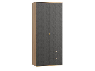 Распашной шкаф Монблан 2-93x215 Косы Графитовый