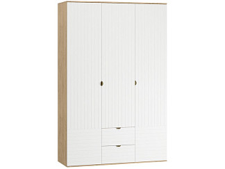 Распашной шкаф Монблан 3-139x215 Линии Белый/Дуб Ирландский