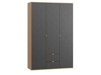 Распашной шкаф Монблан 3-139x215 Грань Графитовый