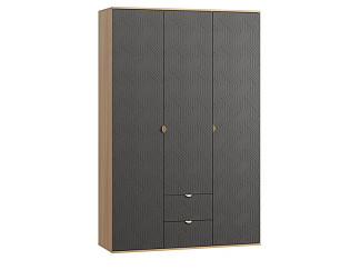 Распашной шкаф Монблан 3-139x215 Косы Графитовый