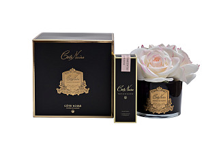 96CN-R60100 Диффузор Five Rose Ivory White, спрей Charente Rose 10мл,уп.