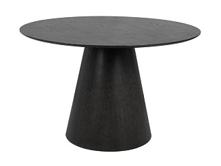 Кухонный стол Лори 120 Ясень Черный