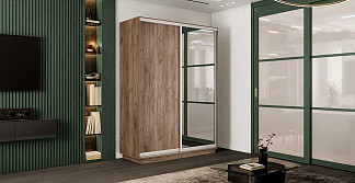 Шкаф-купе ГОСТ NEW 2Д 60 ЛДСП/ЗЕРКАЛО