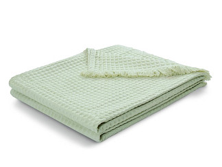 Плед Сальда Green 170x220