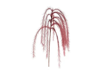 Ветка декоративная FEATHERS 130 см