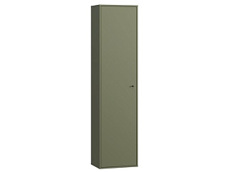Распашной шкаф Сайрис-1 Olive