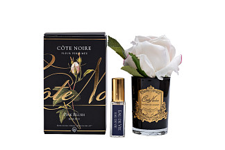 96CN-R4200 Диффузор Rose Bud Pink, спрей Eau de vie 5мл в упак.