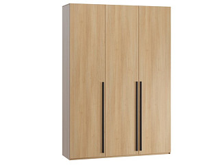 Распашной шкаф Кимбол 3-170x240 Дуб Барбера