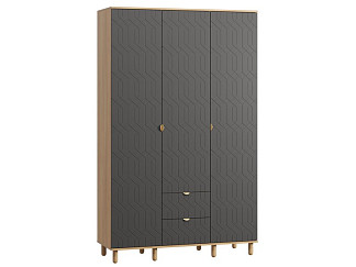 Распашной шкаф Теджонс 3-139x224 Деко Графитовый