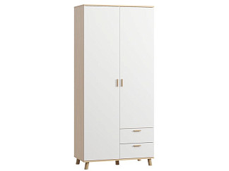 Распашной шкаф Пронто 2-100x220 Береза/Белый