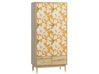 Распашной шкаф Тайрон 2-95x200 Лилия