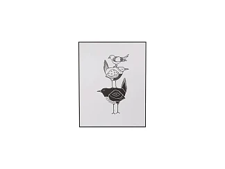 Постер  Birds