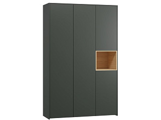 Распашной шкаф Висмар-3.1 Forest