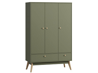Распашной шкаф Торвалль 3-118x185 Оливковый