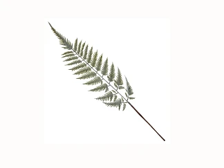 Ветка декоративная Папоротник 71см